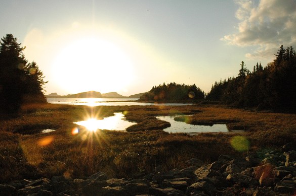 Vue vers le parc, Havre Saint-Pierre